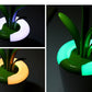 Glowplant Aesthetic LED Desk Lamp - Ever green palace