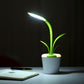 Glowplant Aesthetic LED Desk Lamp - Ever green palace