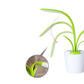 Glowplant Aesthetic LED Desk Lamp - Ever green palace
