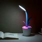 Glowplant Aesthetic LED Desk Lamp - Ever green palace